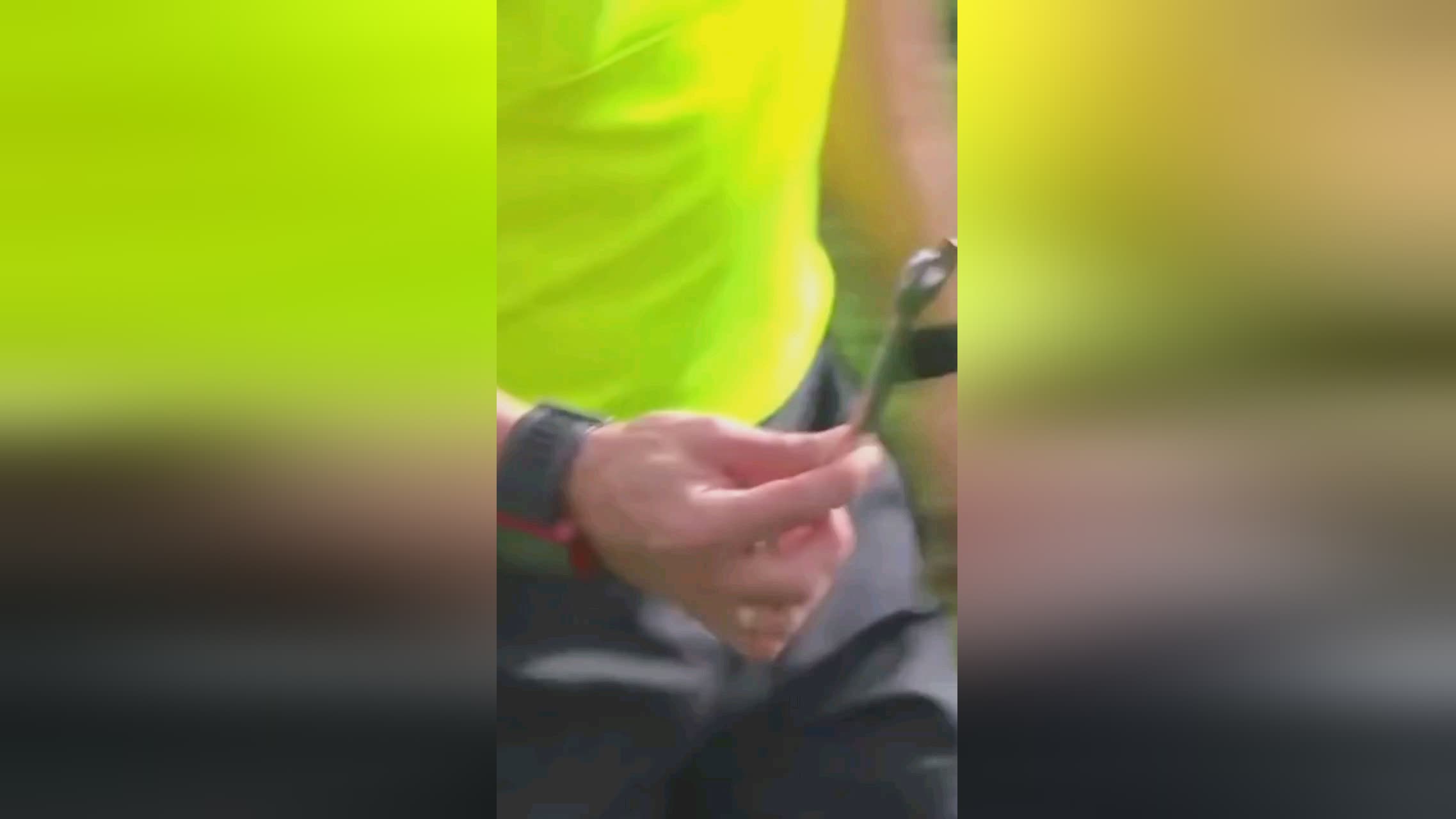 挥为接